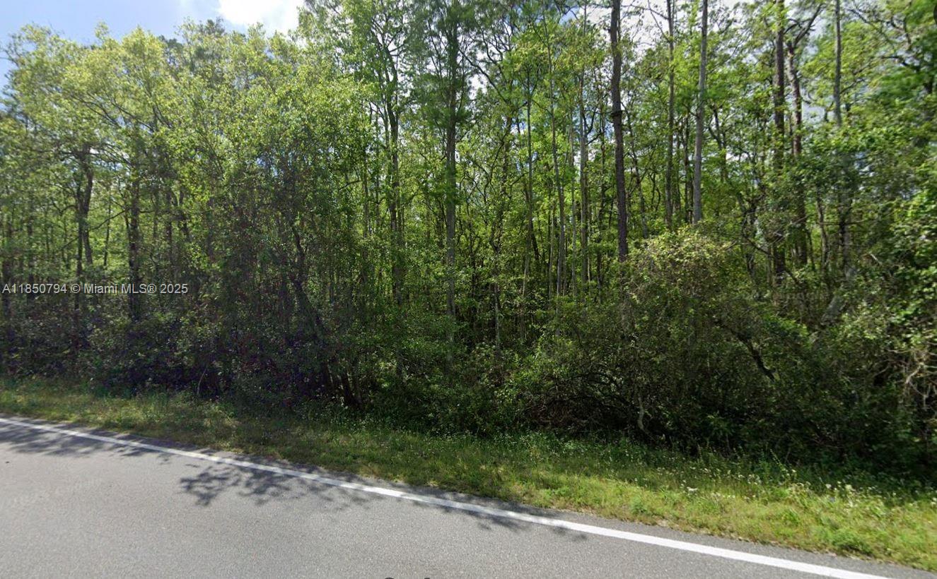 0 DEEN STILL RD E, Other City – In The State Of Florida FL 33868 — #A11850794