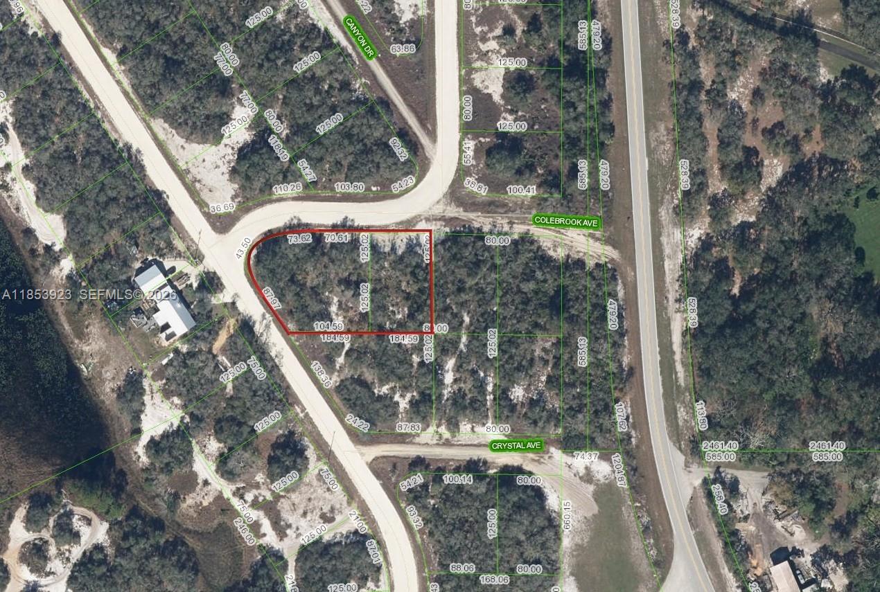 1ad5be0d-6882 231 Lakeland Dr, Lake Placid FL 33852 — #A11853923