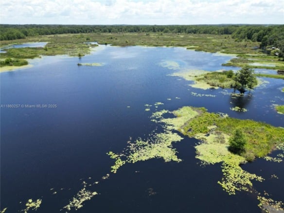 8781 S LAKESHORE DRIVE FLORAL CITY, Other City – In The State Of Florida FL 34436 — #A11860257