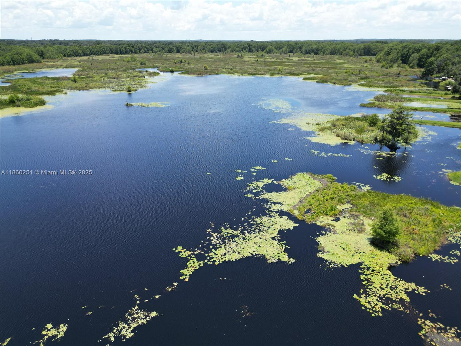 default 8781 S LAKESHORE DR FLORAL CITY, Other City – In The State Of Florida FL 34436 — #A11860251