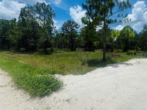 5120 PIONEER, Other City – In The State Of Florida FL 33440 — #A11901612