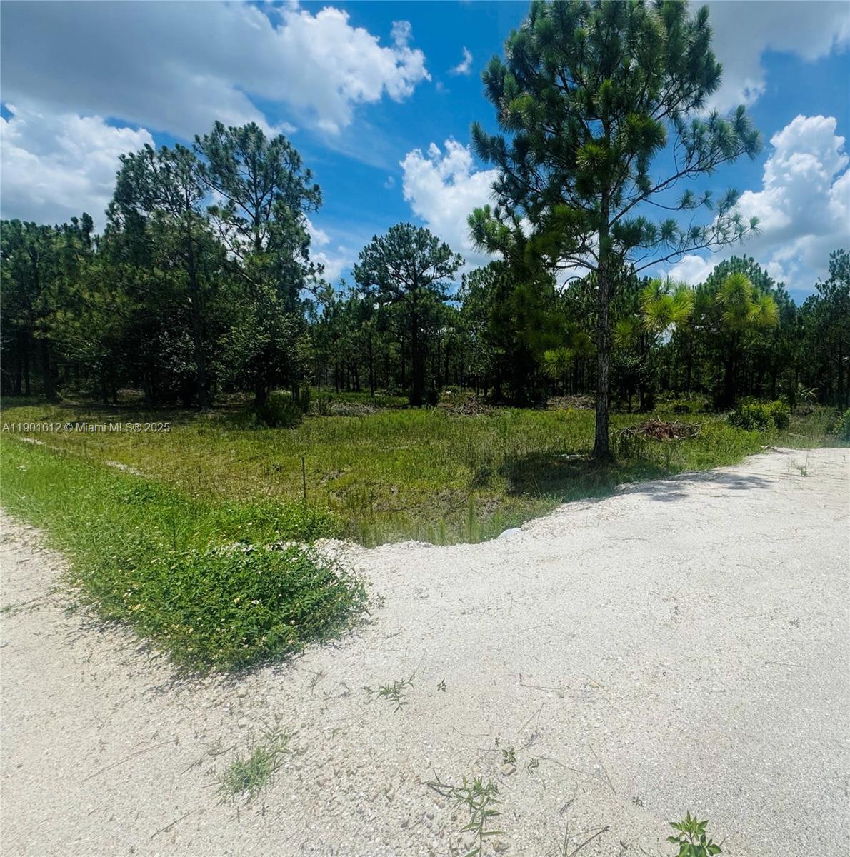 1ad5be0d-722 5120 PIONEER, Other City – In The State Of Florida FL 33440 — #A11901612