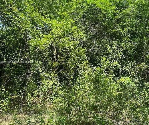 00 RIO NEUVO, ST MARY JAMAICA, NA — #A11871395