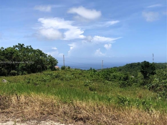 MINARD PEN PART OF MAINARD PEN, JA — #A11873258