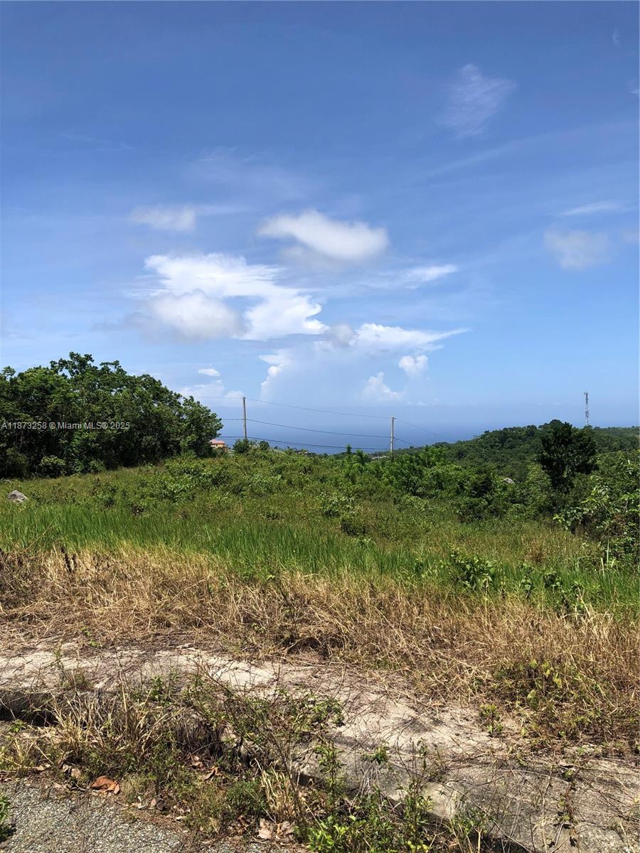 MINARD PEN PART OF MAINARD PEN, JA — #A11873258