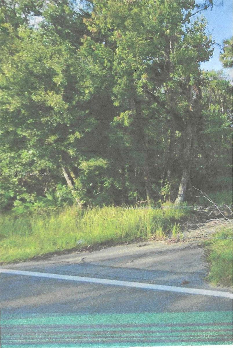 00 Adair Road, Davenport FL 33837 — #A11874644