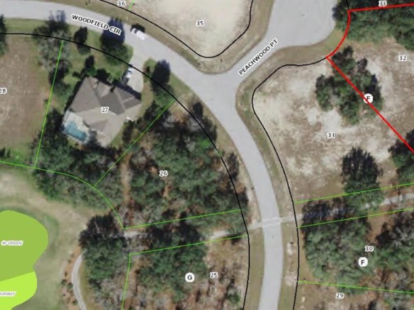 3 Peachwood Point, FL 34446 — #R10798082