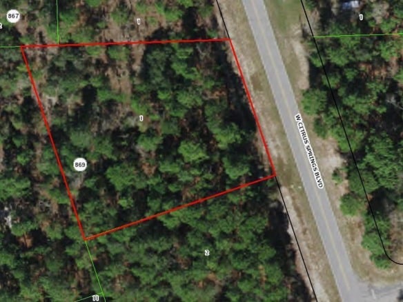 4228 W Citrus Springs Boulevard, FL 34433 — #R10814494