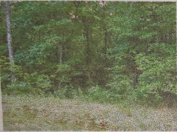 10 Street Place Loop, TN — #F10364070