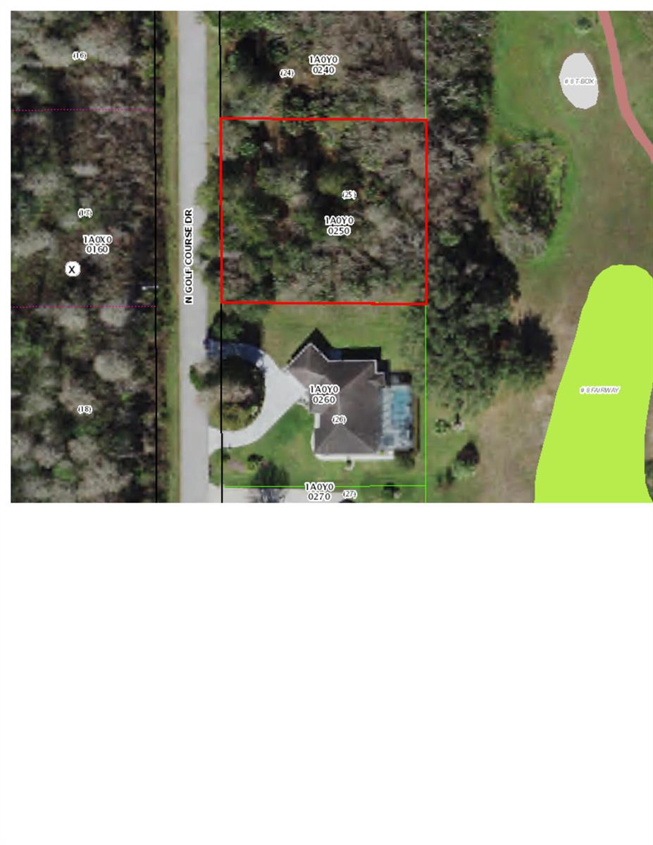 603 N Golf Course Drive, FL 34429 — #R10864024