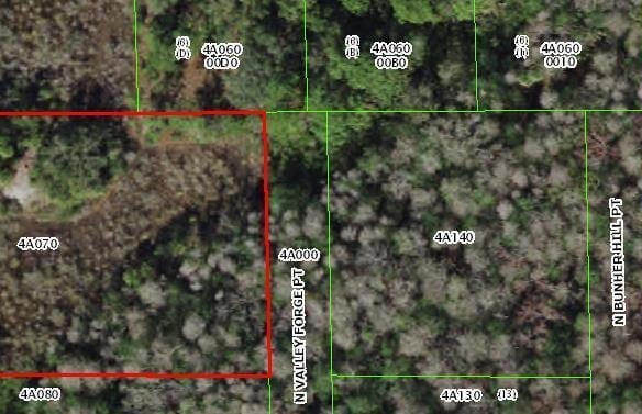 916 N Valley Forge Point, FL 34429 — #R10867922