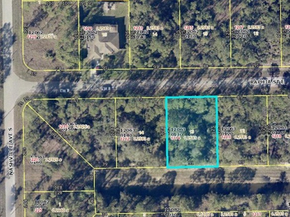 1214 Raphia Street E, Lehigh Acres FL 33974 — #R10901737