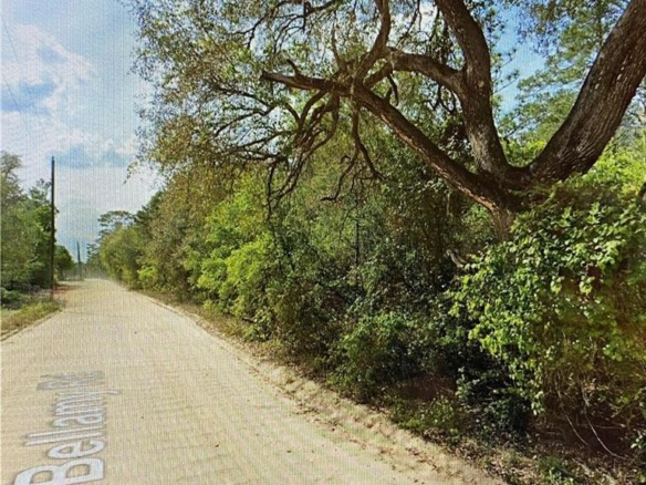 0000 Lone Pine Trail, FL 32666 — #F10389229