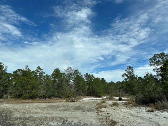 4508 Briarcliff Avenue, Sebring FL 33875 — #F10423946