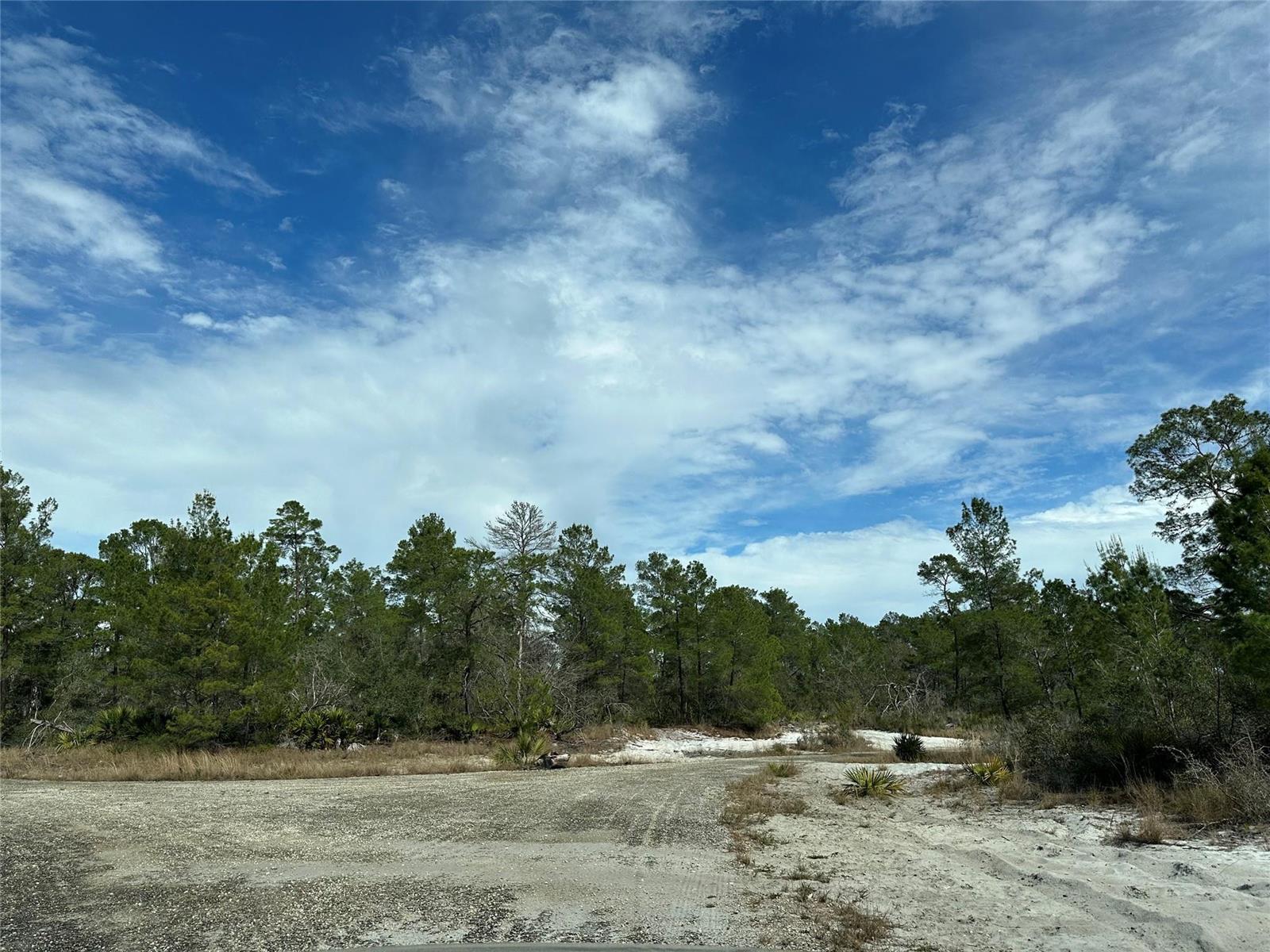 4508 Briarcliff Avenue, Sebring FL 33875 — #F10423946