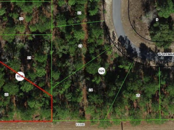 1005 W Riley Drive, FL 34434 — #R10984858