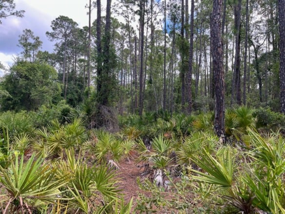 222 Marie Avenue, FL 32139 — #R10989931