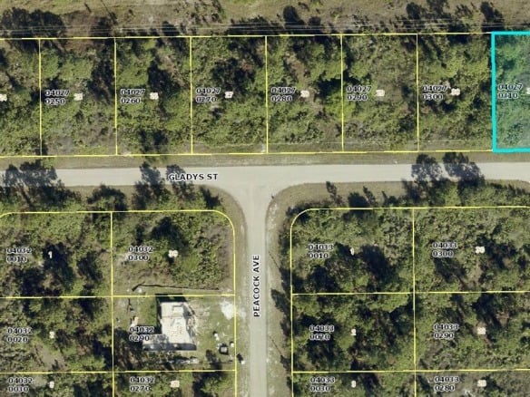 1045 Gladys Street, Lehigh Acres FL 33974 — #R11000041