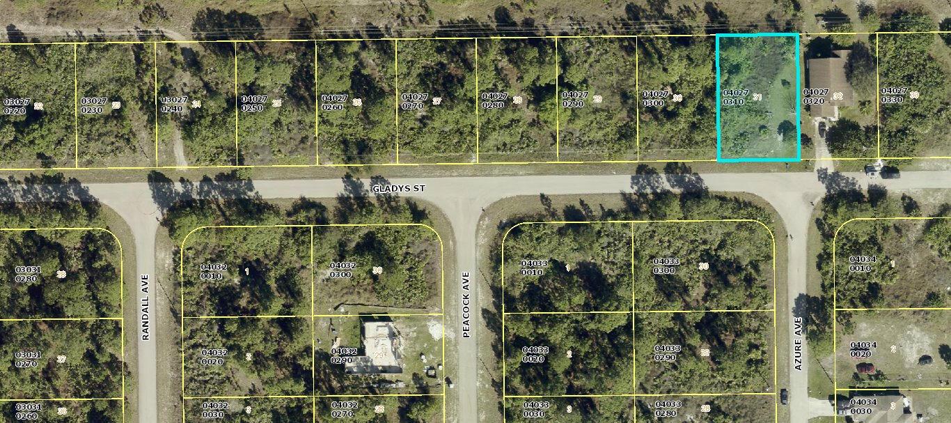 1ad5be0d-8295 1045 Gladys Street, Lehigh Acres FL 33974 — #R11000041