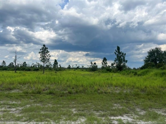 0 Pinnata Drive, Lake Wales FL 33898 — #R11003048