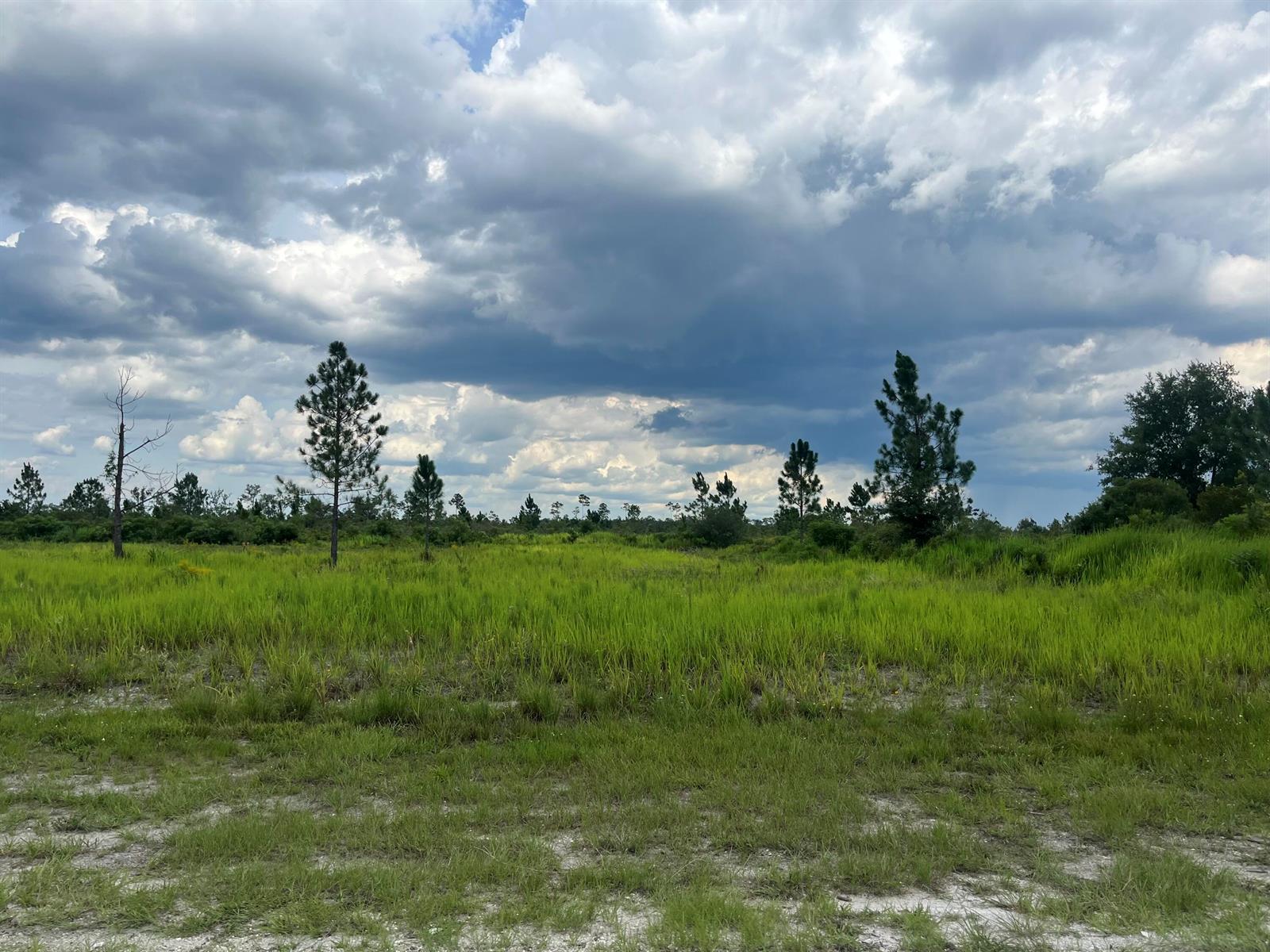 1ad5be0d-8305 0 Pinnata Drive, Lake Wales FL 33898 — #R11003048