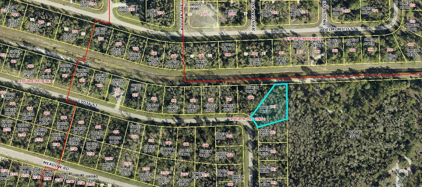 651 Lydia Street, Lehigh Acres FL 33974 — #R11008264