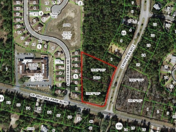 203 Cypress Boulevard E, FL 34446 — #R11009704