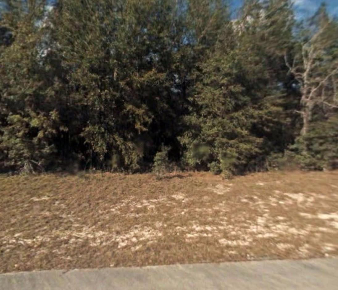CREATOR: gd-jpeg v1.0 (using IJG JPEG v62), quality = 90 Lot 5 138 Lane, Ocala FL 34473 — #F10464429