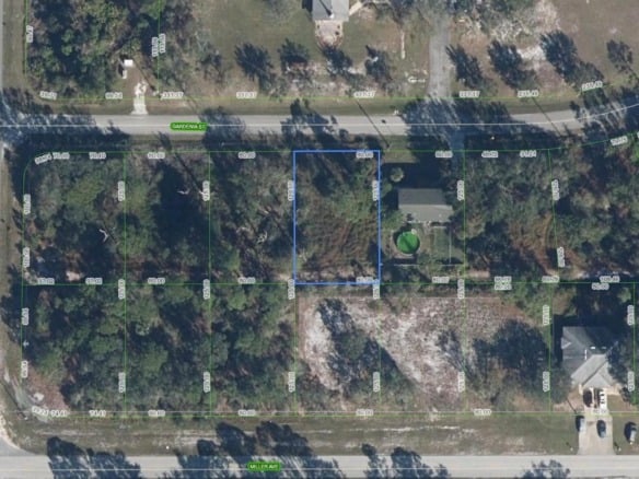 805 Gardenia Street, Lake Placid FL 33852 — #F10468313