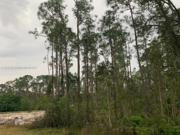 28338 Calais Ave, Punta Gorda FL 33955 — #A11908726