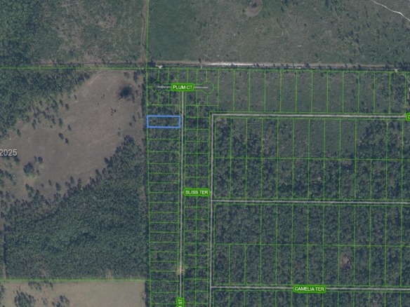 4705 Rhubarb Street, Sebring FL 33875 — #A11909649