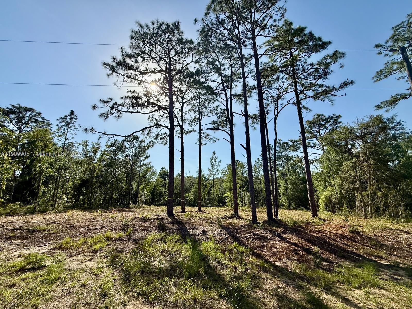 1ad5be0d-948 0 NW 157th Ave, Williston FL 32696 — #A11909905