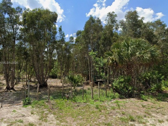 1015 Legion Ave, Lehigh Acres FL 33974 — #A11912892