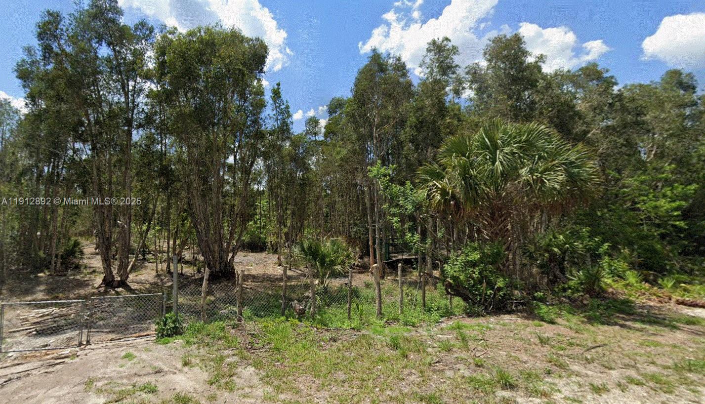 1ad5be0d-982 1015 Legion Ave, Lehigh Acres FL 33974 — #A11912892