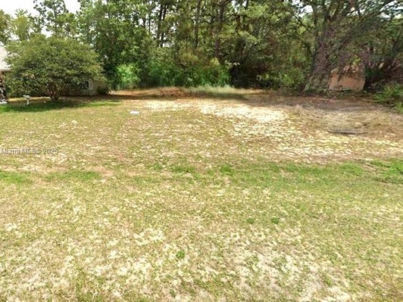 1139 W HAMPSHIRE, Citrus Springs FL 34434 — #A11830921