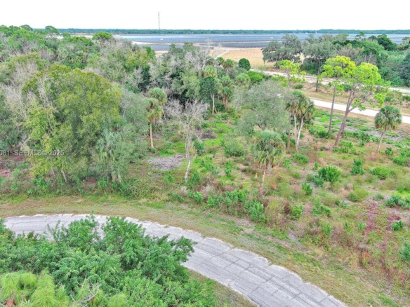 171 CAROUSEL AVE, La Belle FL 33935 — #A11929081