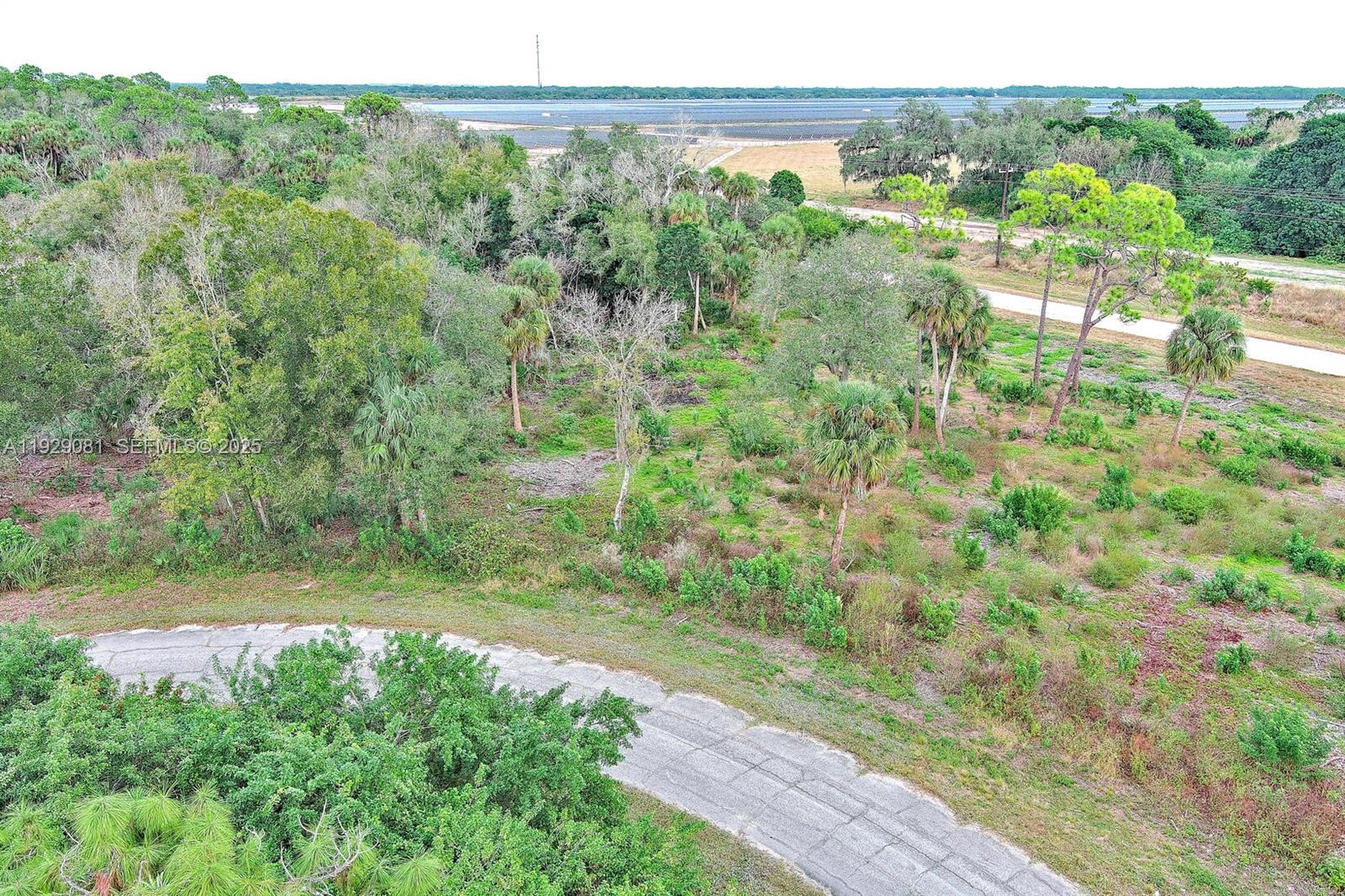 171 CAROUSEL AVE, La Belle FL 33935 — #A11929081