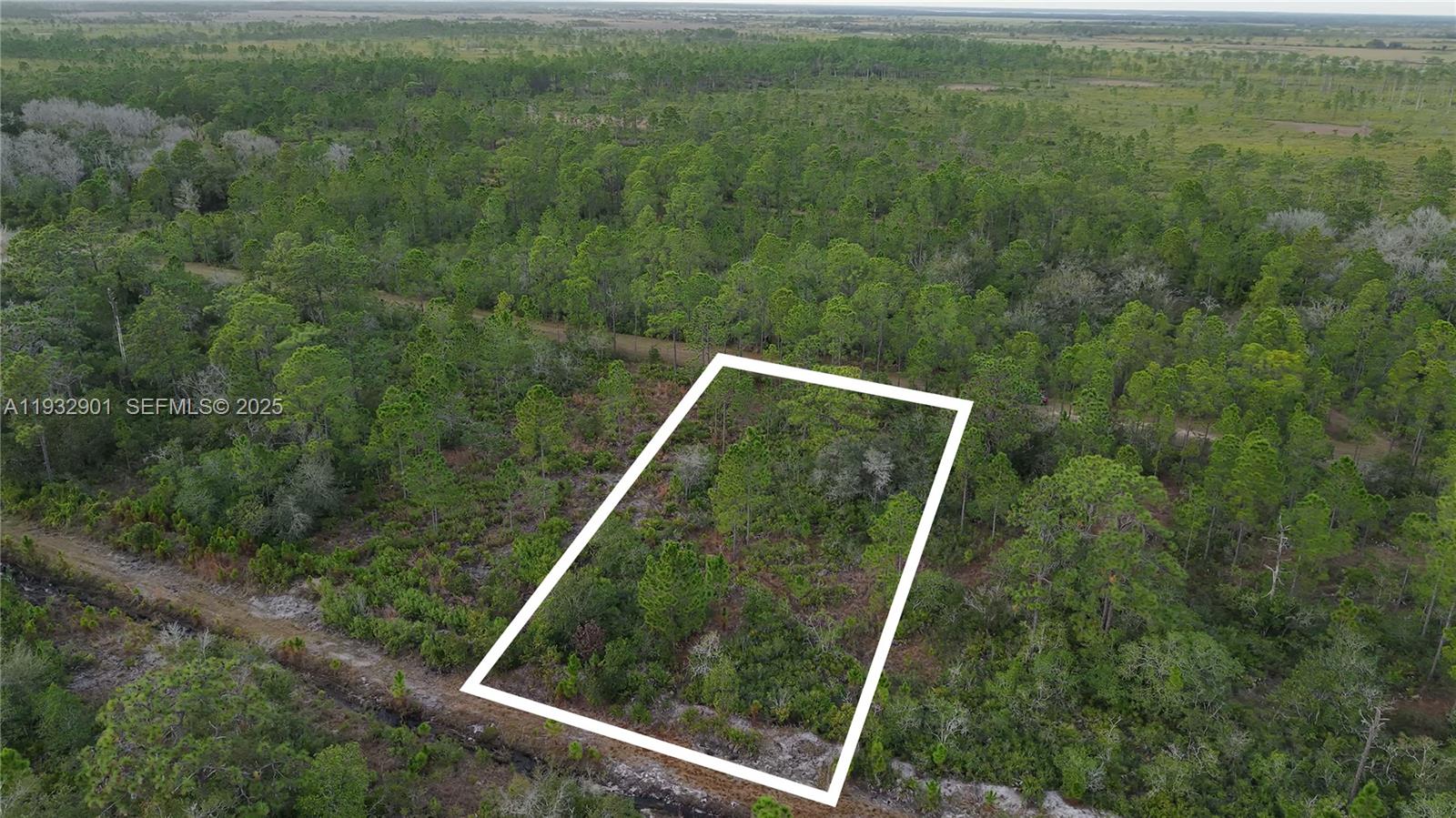 6dd28e9b-1635 215 IXORA DR, Other City – In The State Of Florida FL 33855 — #A11932901