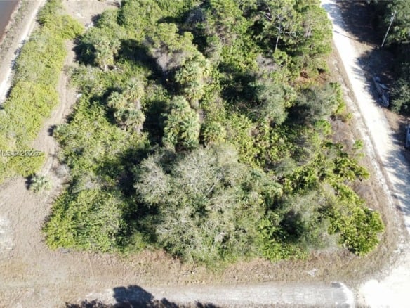 7502 JOAN AVE N, Lehigh Acres FL 33971 — #A11933723