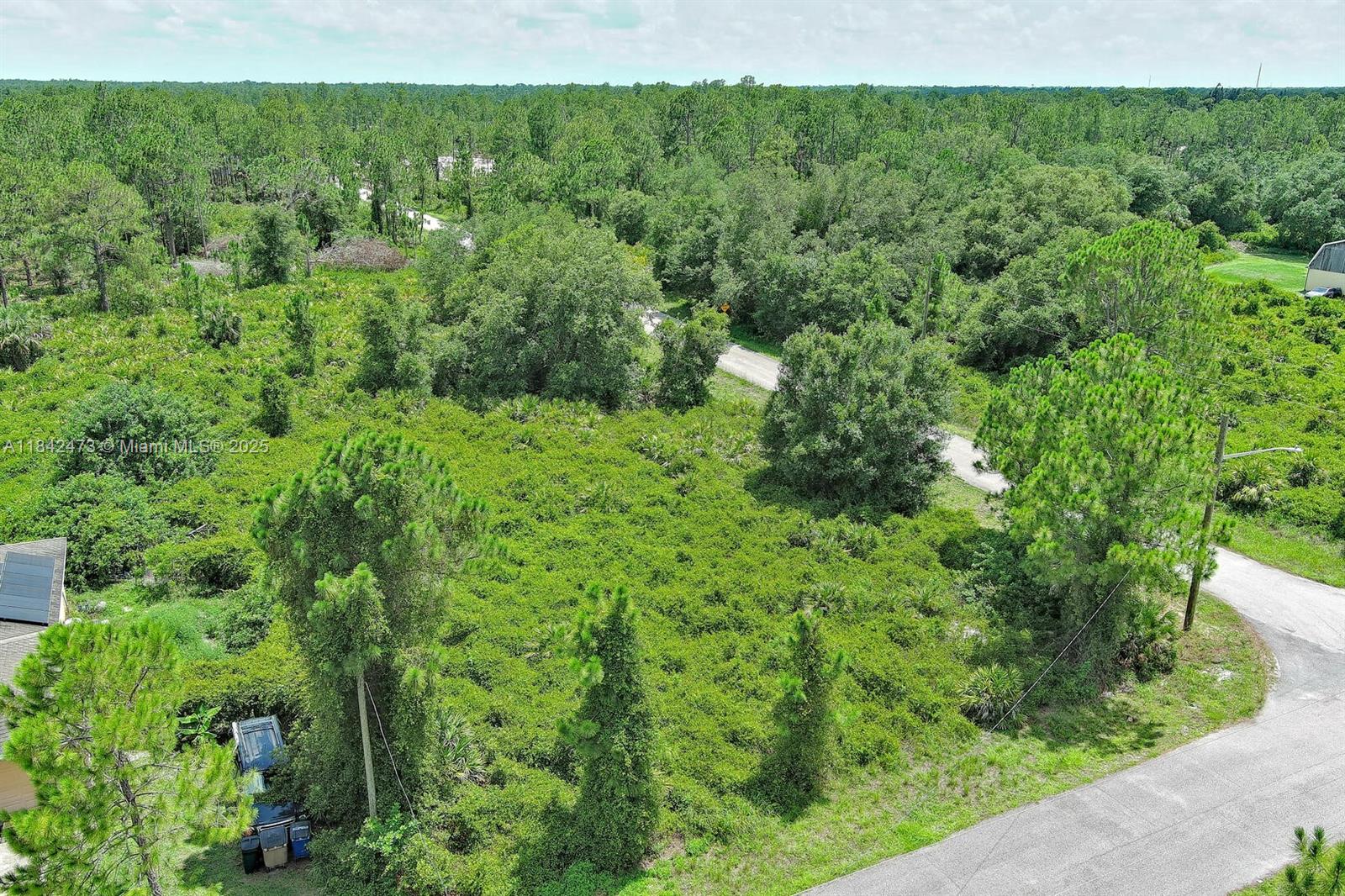 6dd28e9b-1956 3100 E 13th St, Lehigh Acres FL 33972 — #A11842473
