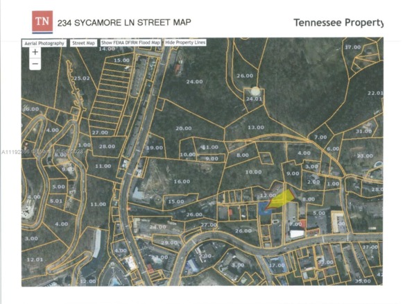 234 SYCAMORE LANE, TN 37738 — #A11192266