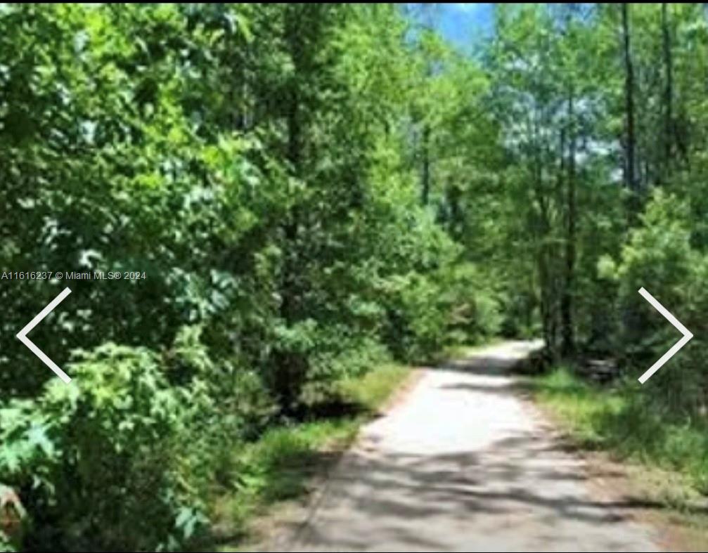 649 Chiimney Rock Rd, GA 31568 — #A11616237