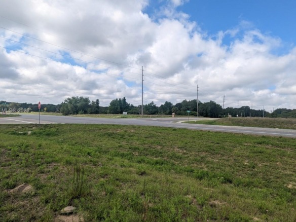 51 E Citrus Springs Blvd, Citrus Springs FL 34434 — #A11409867