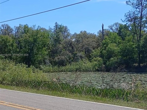 0 Richardson Blvd, Other City – In The State Of Florida FL 33597 — #A11528769