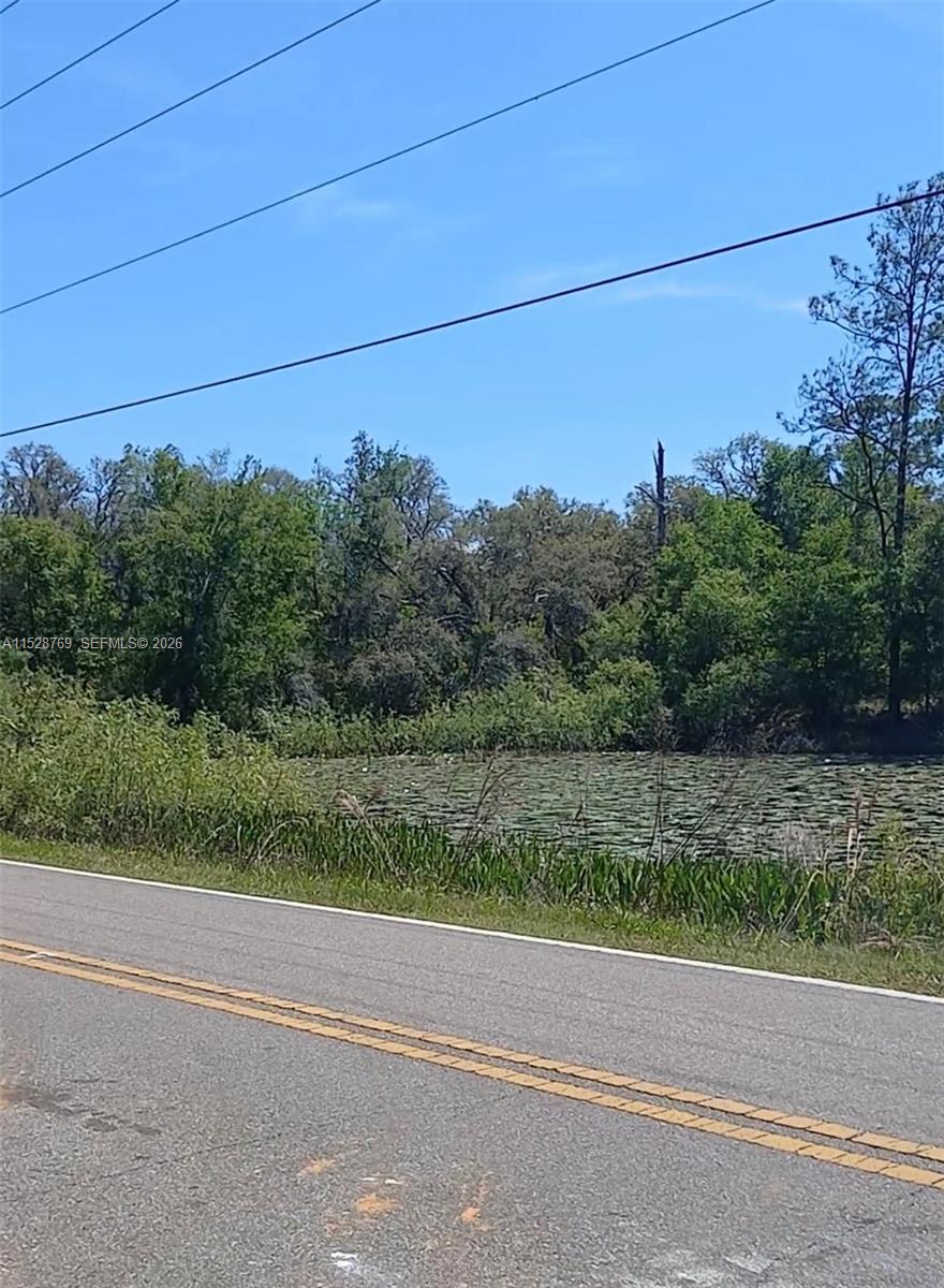 S 0 Richardson Blvd, Other City – In The State Of Florida FL 33597 — #A11528769