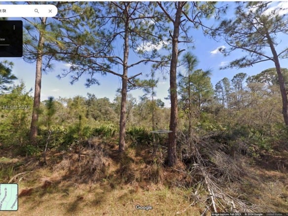 1245 KUMQUAT ST, Lake Placid FL 33852 — #A11581380