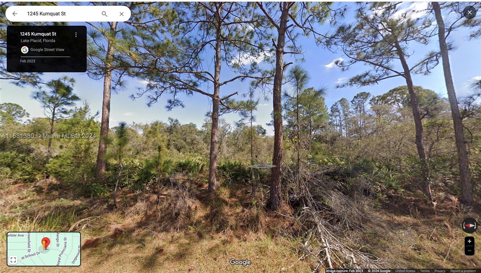 1245 KUMQUAT ST, Lake Placid FL 33852 — #A11581380