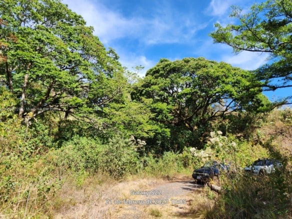 no # Puente de Piedra y Tacares Alajuela Grecia C R, CR — #A11586128