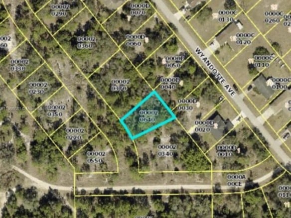 ALVA, FL, Other City – In The State Of Florida FL 33920 — #A11608681