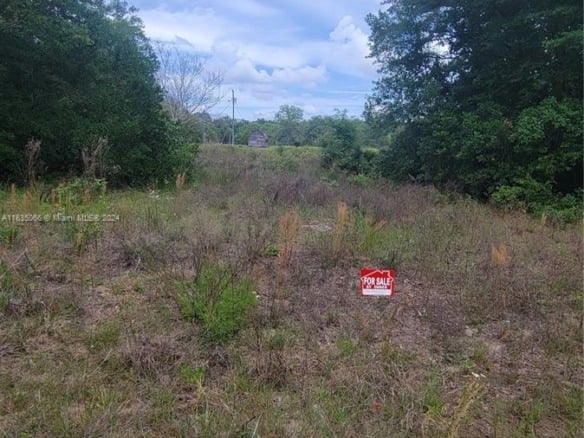 0 Lenore Ave, Palatka FL 32148 — #A11635066